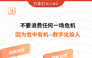不要浪費(fèi)任何一場危機(jī)，因?yàn)槲Ｖ杏袡C(jī)--數(shù)字化投入