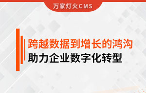 跨越數(shù)據(jù)到增長的鴻溝，助力企業(yè)數(shù)字化轉(zhuǎn)型